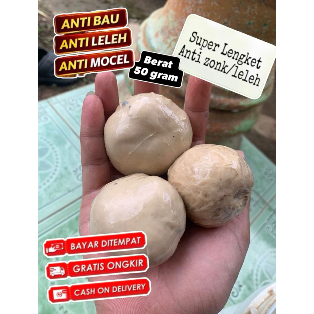 pulut burung getah bendo/tarap