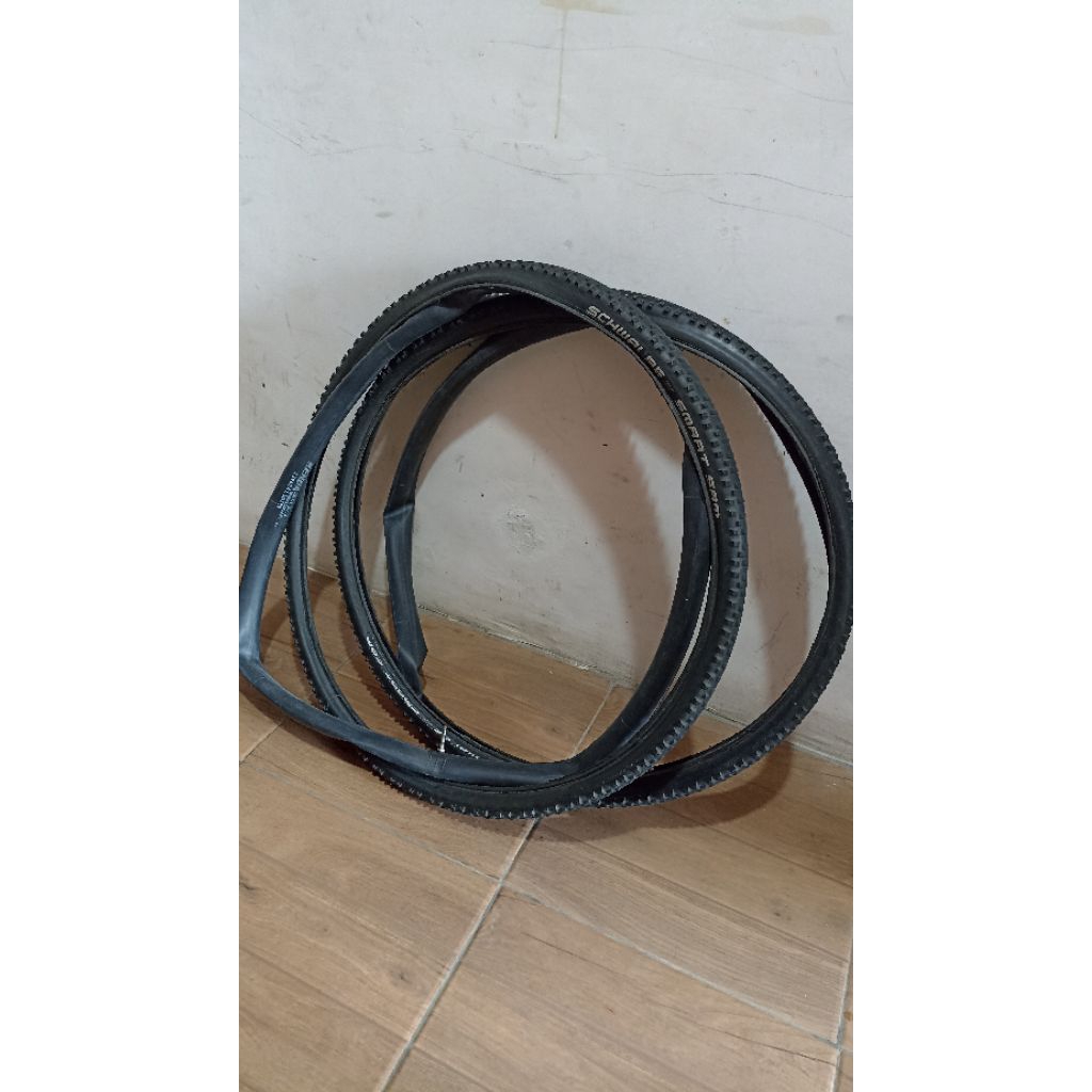 Ban schwalbe smart sam