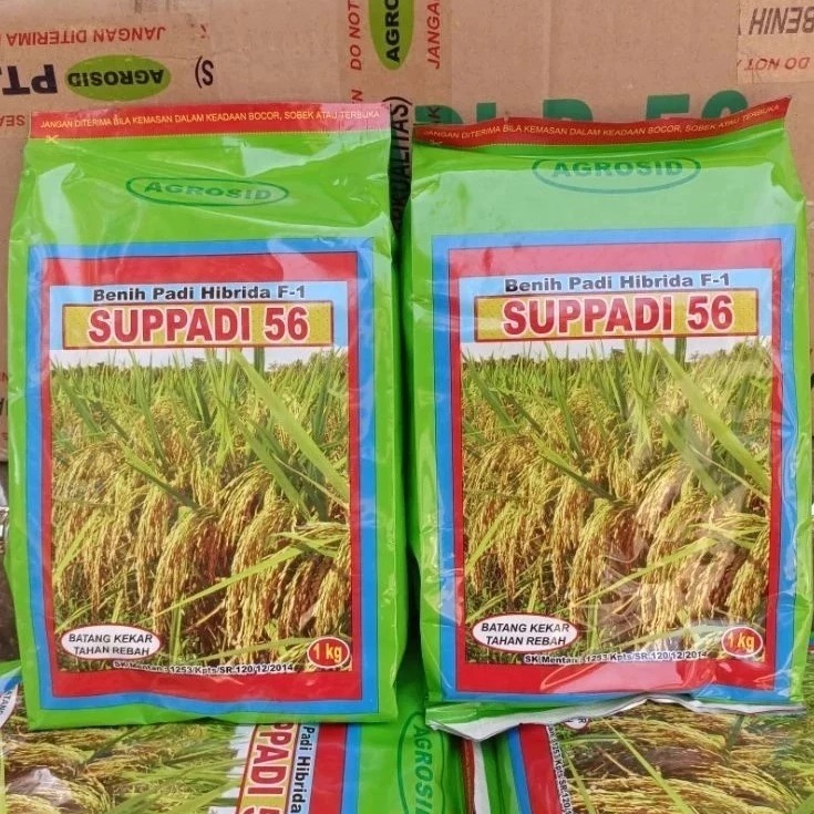 READY STOK Benih Bibit Padi Supadi 56 Kemasan 1 kg Original Hibrida Exp 05 2027