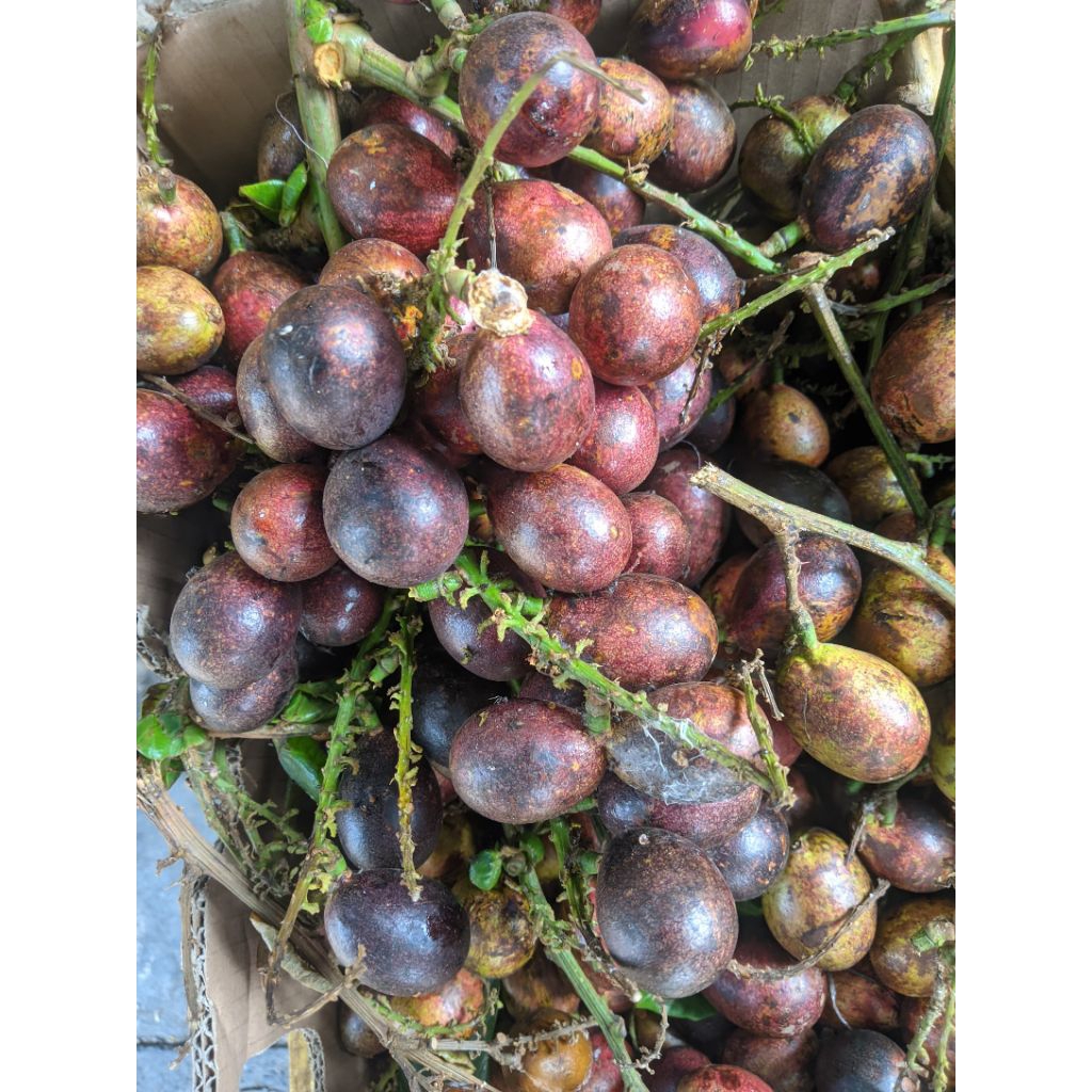 Buah matoa 1kg