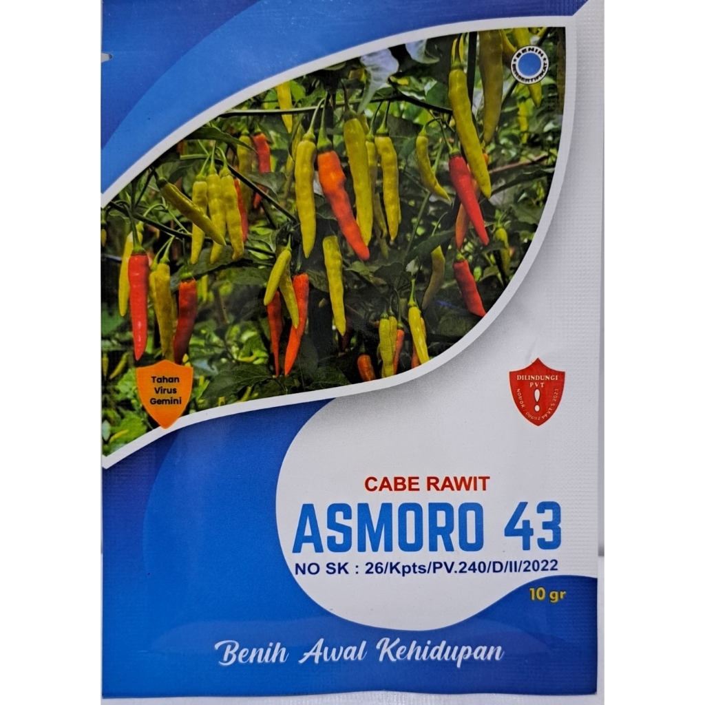 Cabe rawit Asmoro