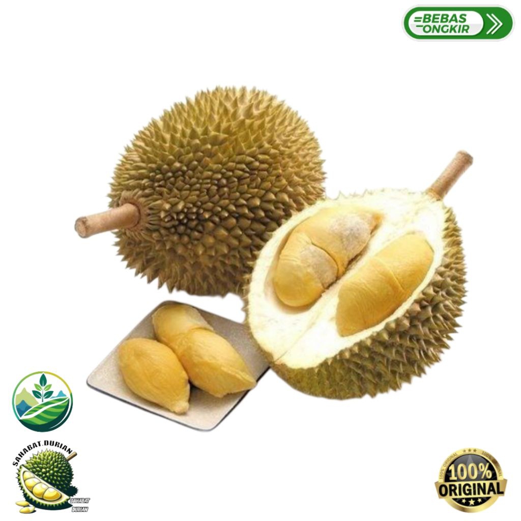 Durian montong | Durian montong kupas 500 gram | Durian montong manis legit