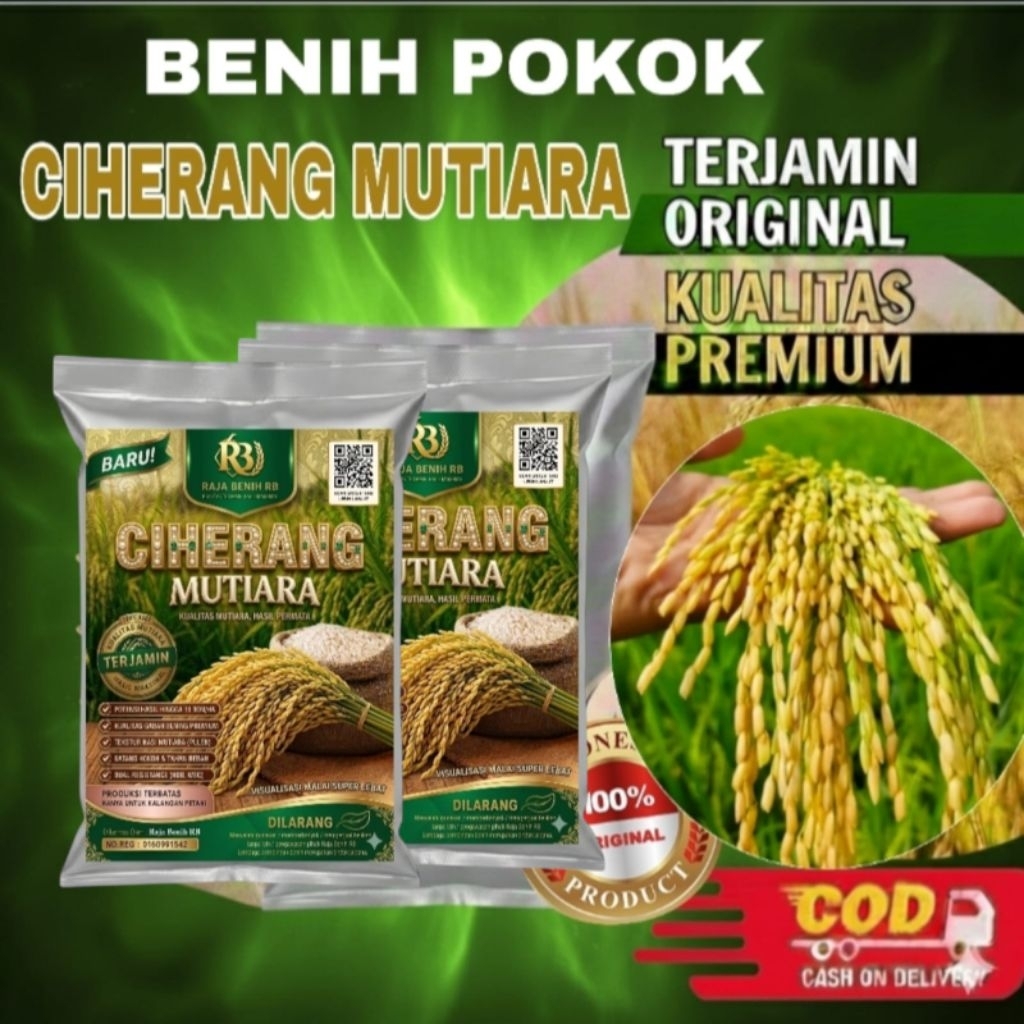 BENIH PADI CIHERANG MUTIARA 5KG