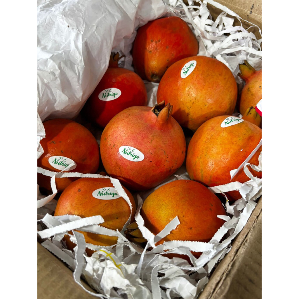 Delima Merah India 1 kardus 2 kg