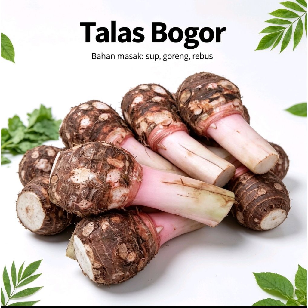 Talas Bogor Segar Kualitas Pilihan • Umbi Talas Lembut Tidak Gatal • Bahan Kolak/Goreng/Kue