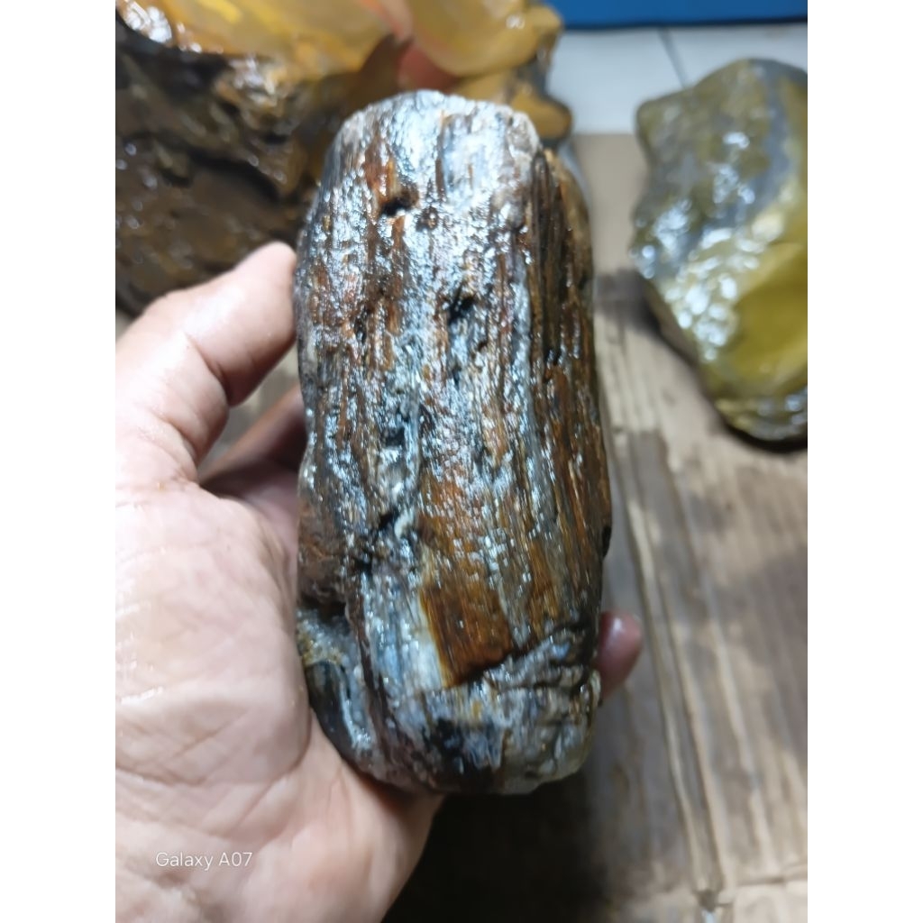 BATU FOSIL GALIH ASEM KUALITAS SUPER