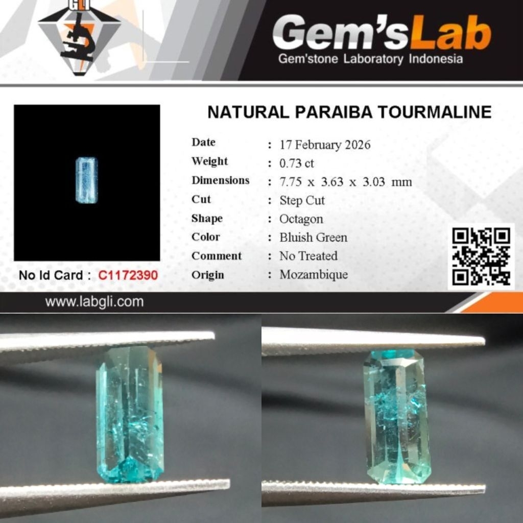 0,73 cts Natural Paraiba Tourmaline origin Mozambique No Treatment Memo GLI
