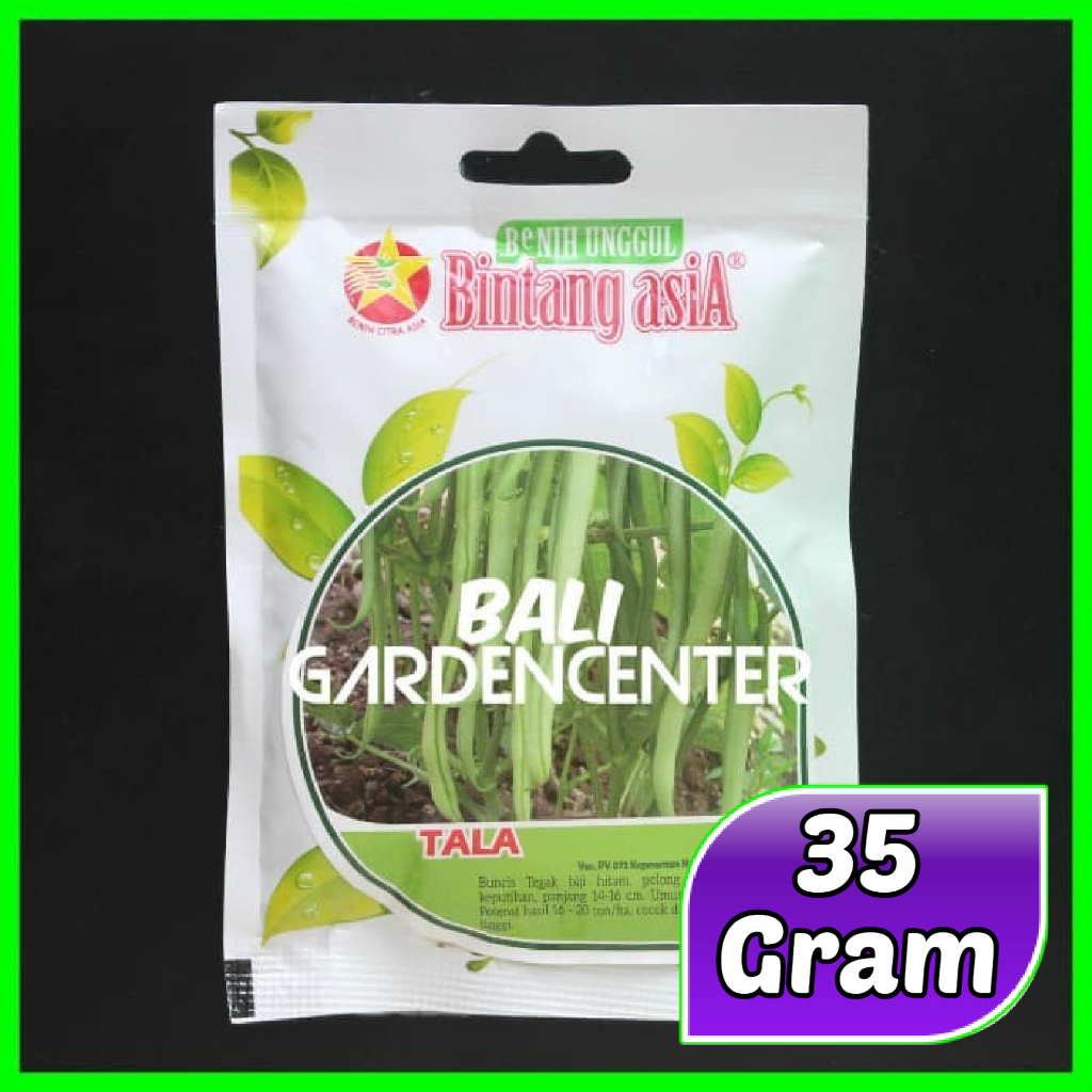Isi 35gr Benih Biji Buncis Tegak TALA - Bintang Asia