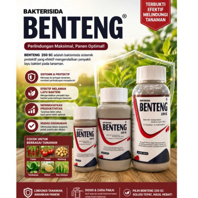 BAKTERISIDA BENTENG PENCEGAH LAYU BAKTERI DAN LAYU FUSARIUM