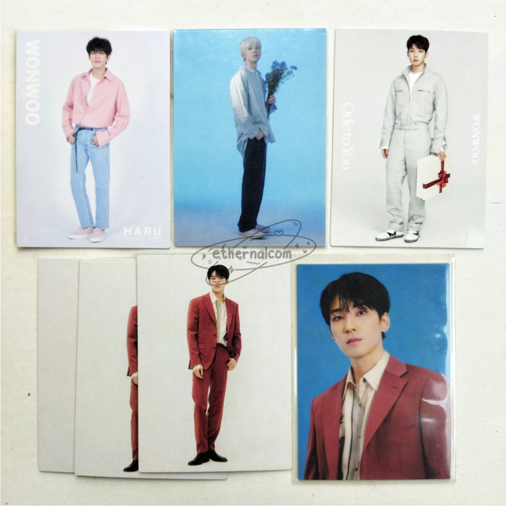Seventeen Wonwoo Official TC Trading Card Japan Concert World Tour Be The Sun Ode To You Hanabi Haru
