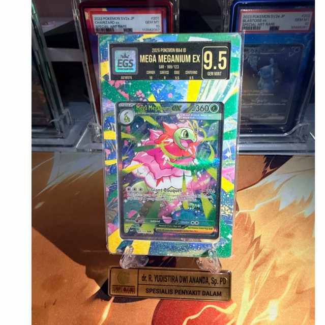 EGS 9.5, Mega Meganium SAR Indonesia + extend art