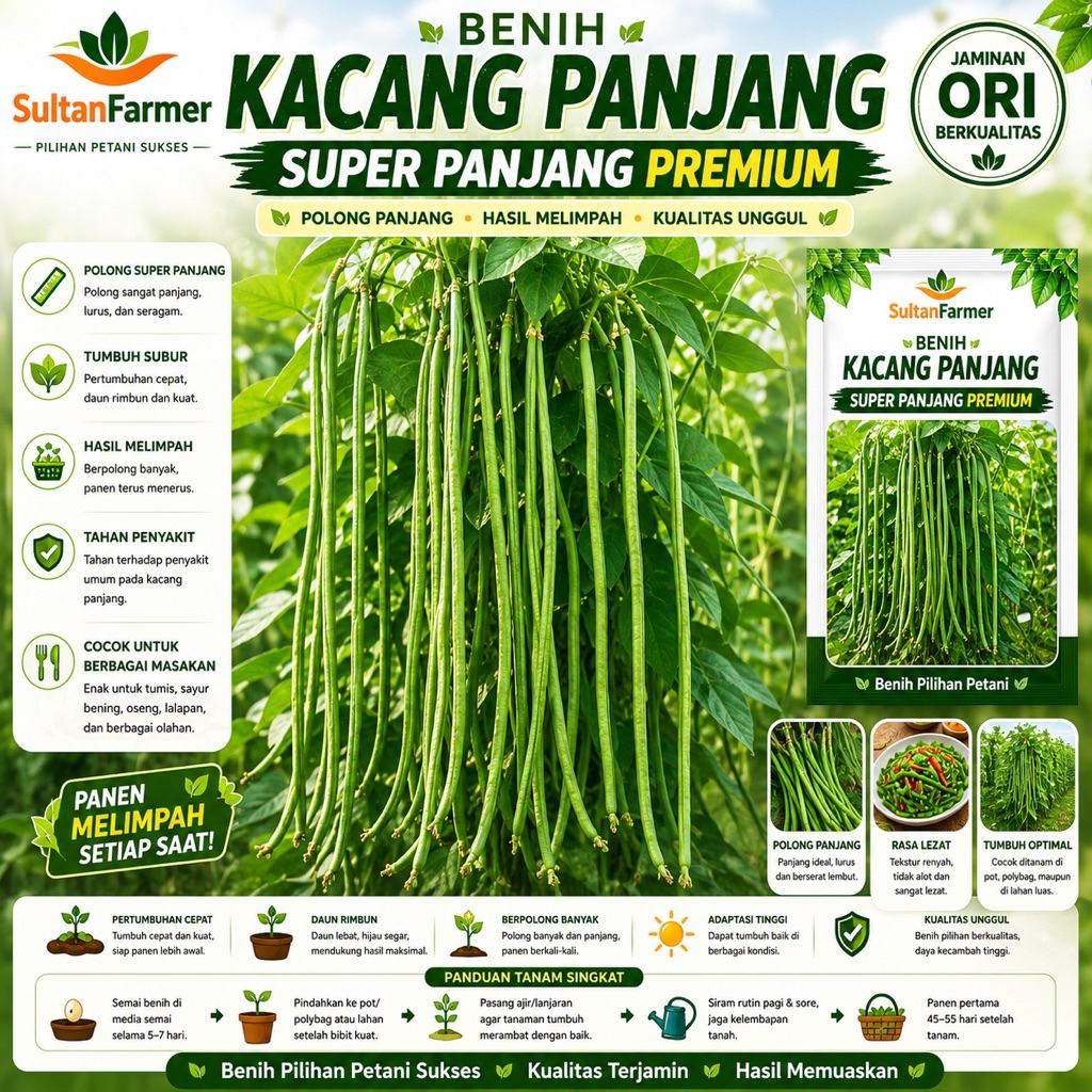 15 biji kacang panjang super panjang
