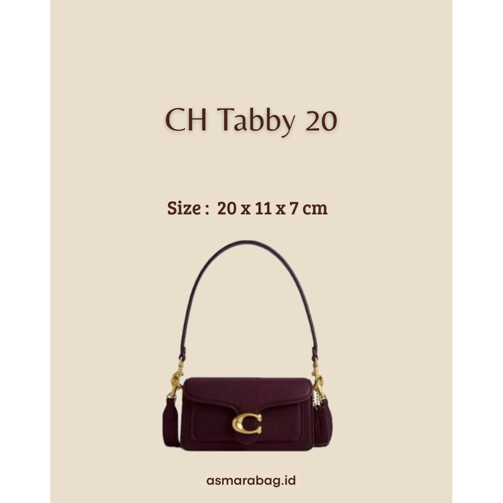 CH Tabby 20