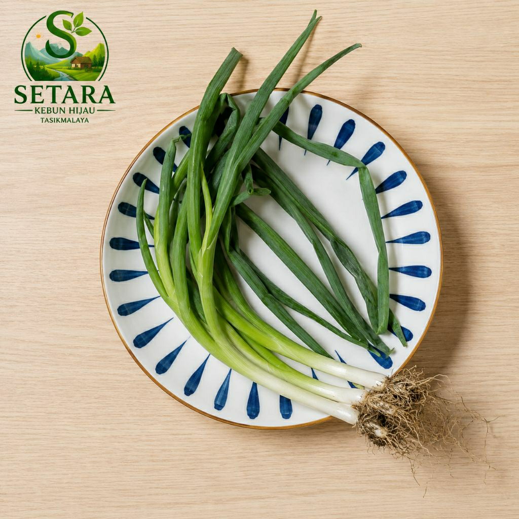 bawang daun 250 gr segar dan bersih_ bawang daun tasikmalaya
