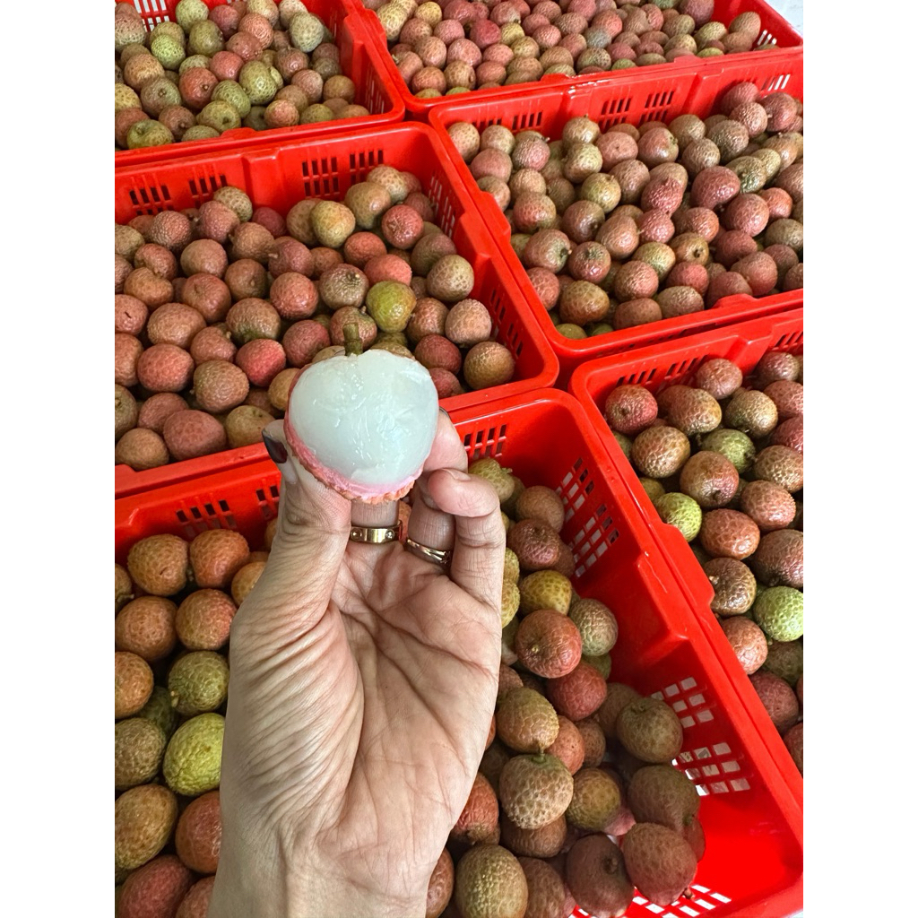 leci merah madu (1kg)