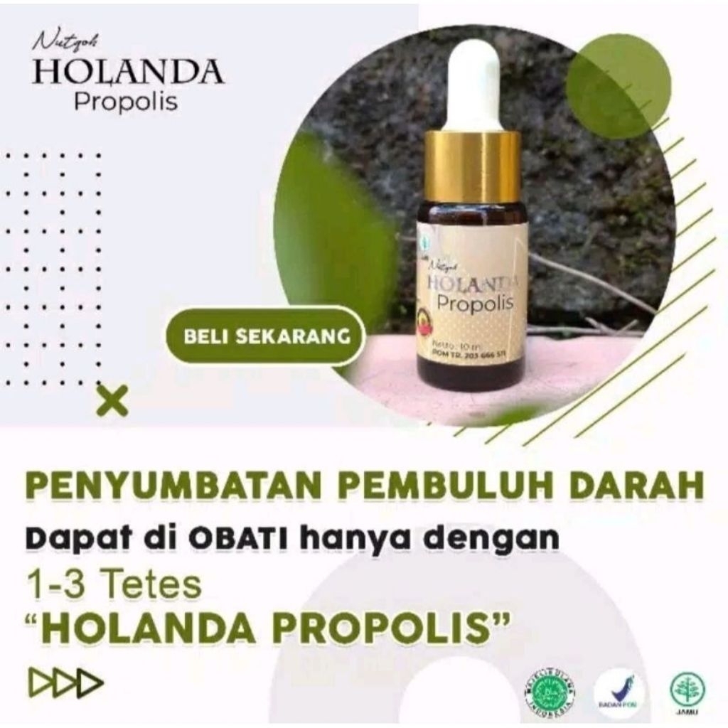 Holanda propolis 10ml Asli bpom halal