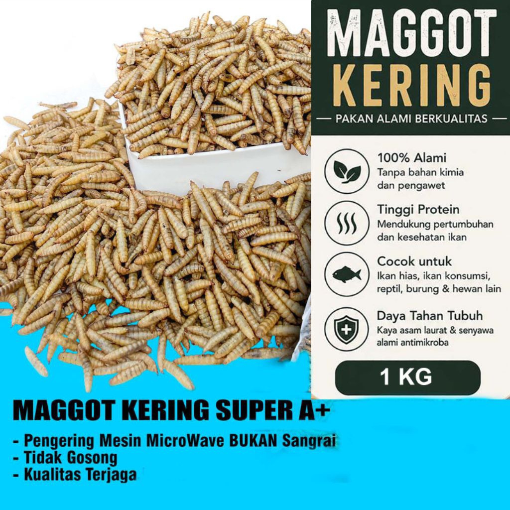 Maggot Kering Bsf / maggot kering / magot kering / maggot kering 1 kg