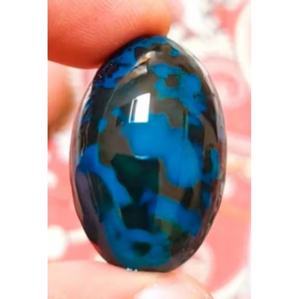Bacan doko gulau Kura coklat totol warna biru solid size babon 34mm