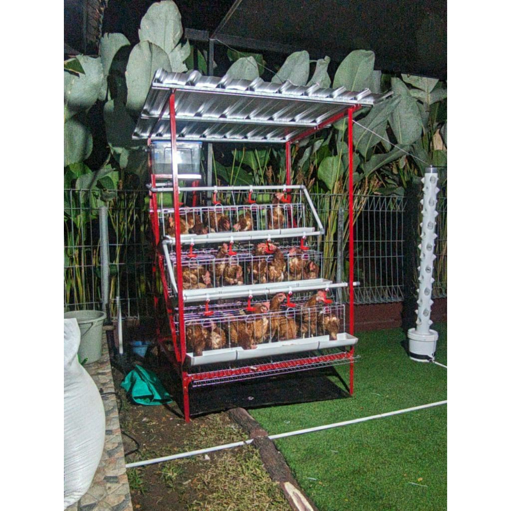 PAKET FULLSET KANDANG GALVANIS AYAM PETELUR SUADAH ADA ATAP TEMPAT PAKAN MINUM NIPEL OTOMATIS