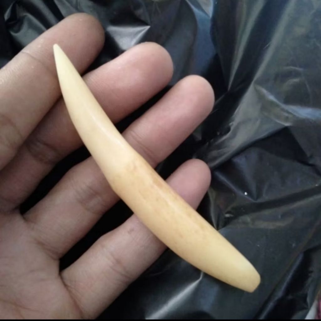 COD Liontin kalung model tarcan harga grosir