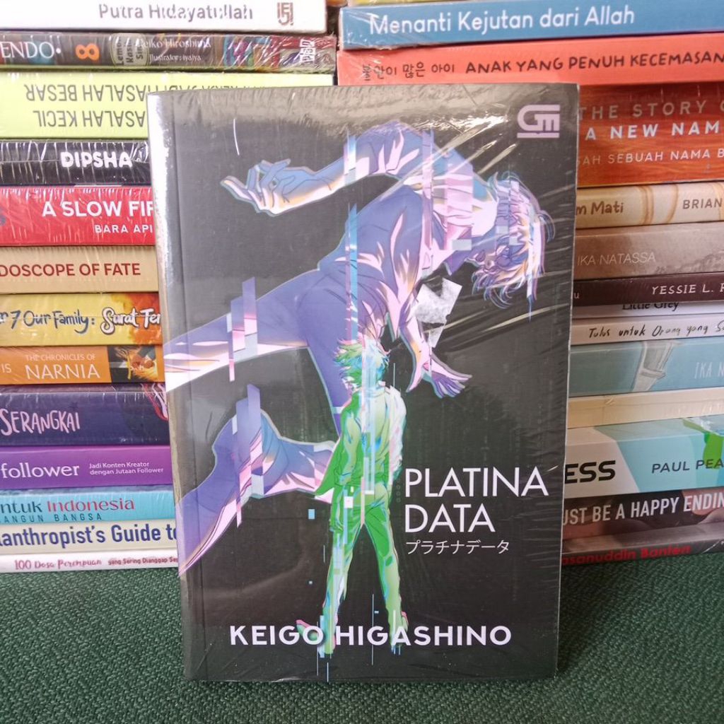 Platina Data. Novel