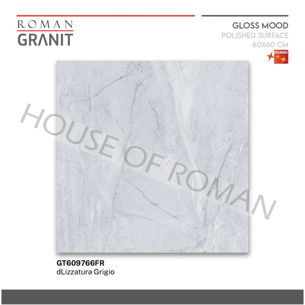 Roman granit dlizzatura grigio /Granit roman 60x60 /granit roman glossy