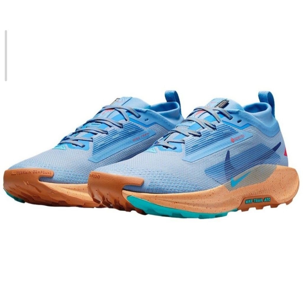 Sepatu Nike Pegasus Trail 5 GTX