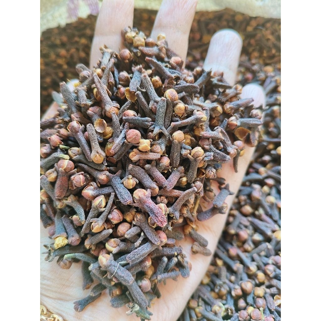 cengkeh kering asli dari pegunungan
