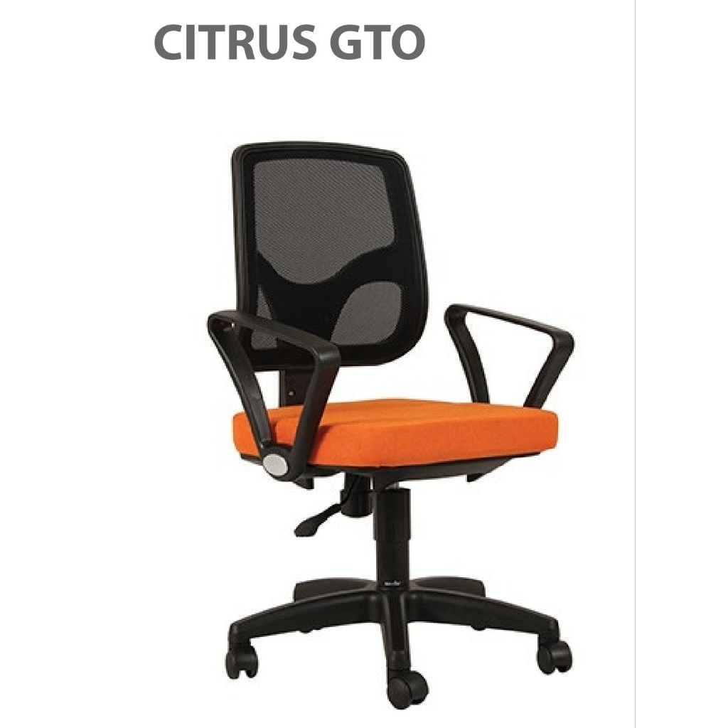 kursi savello citrus gto