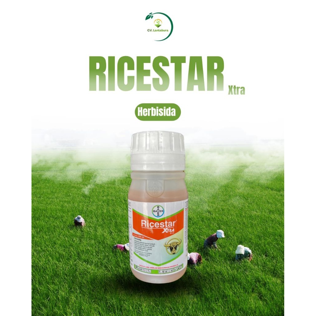 ricestar extra