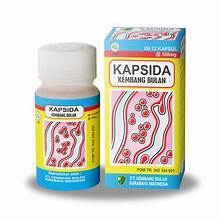 kapsida