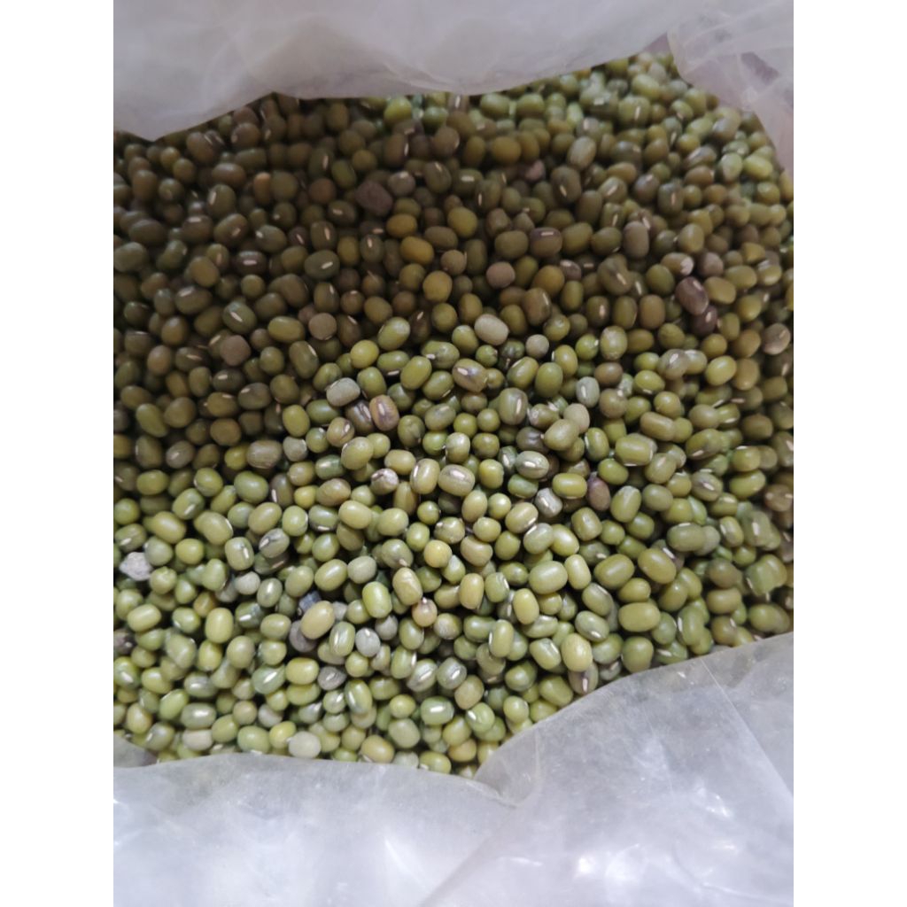 KACANG HIJAU BIRMA