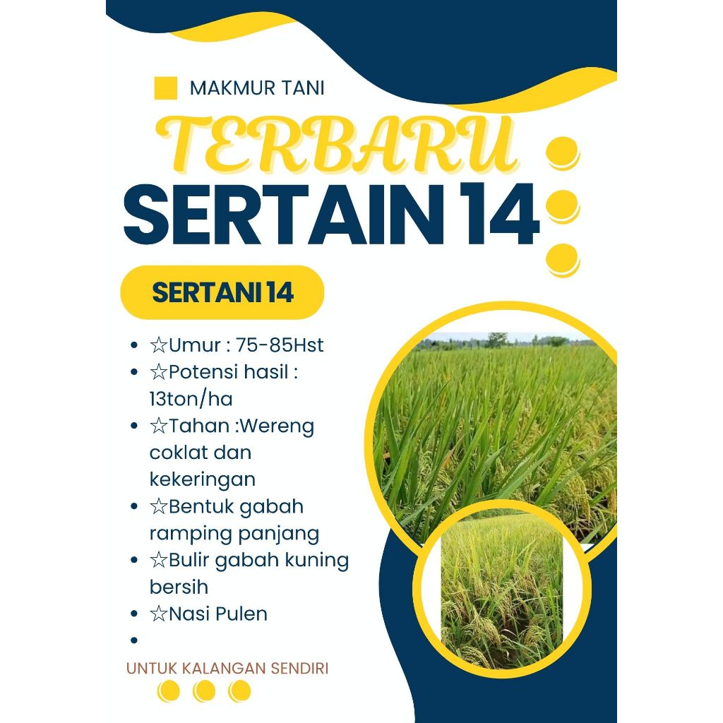 PADI SERTANI 14 A