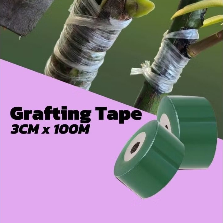 Grafting Tape Plastik Okulasi Sambung Tanaman Grafting Tape 3CM