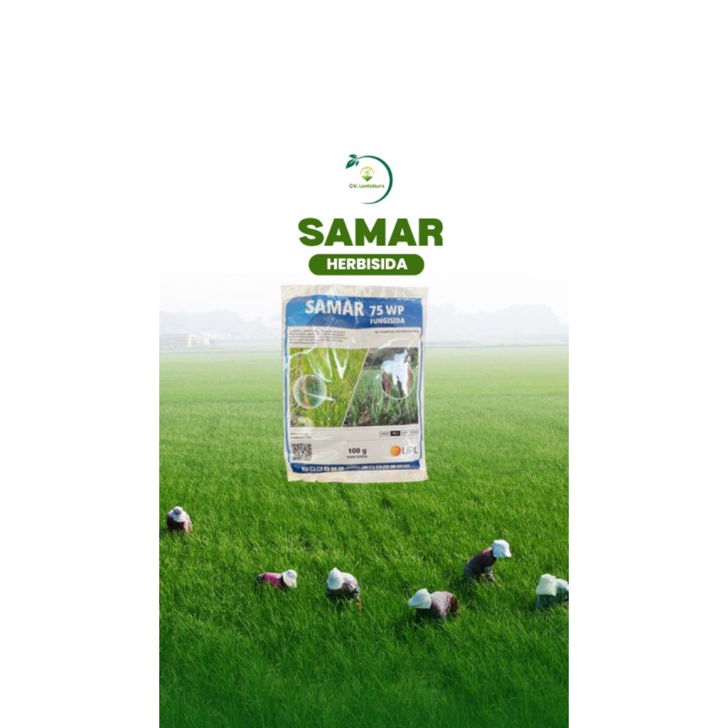 SAMAR 75 WP