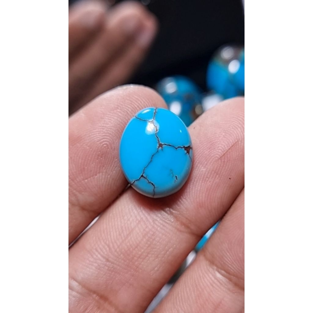 natural pirus mesir blue fancy