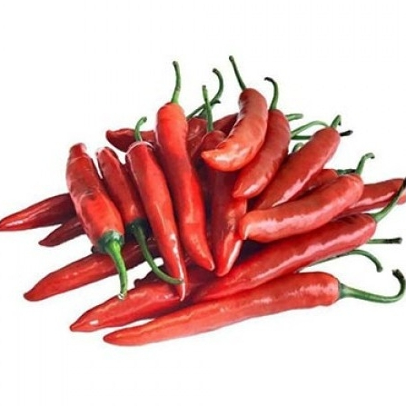 CABE RAWIT CABE MERAH KERITING CABE TW BESAR 100gr