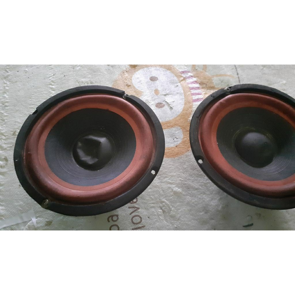 speaker subwofer 10 inci