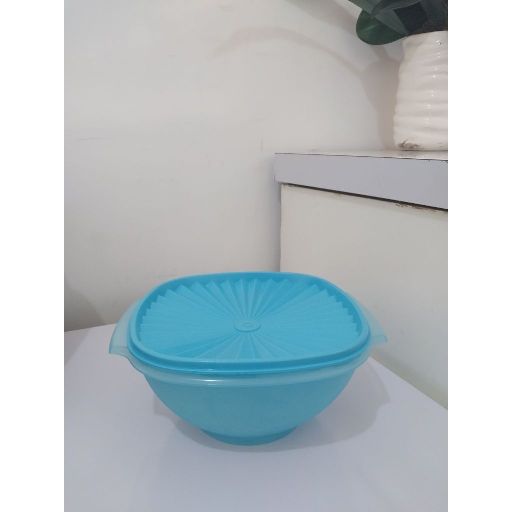 Wadah penyajian/rice bowl tupperware