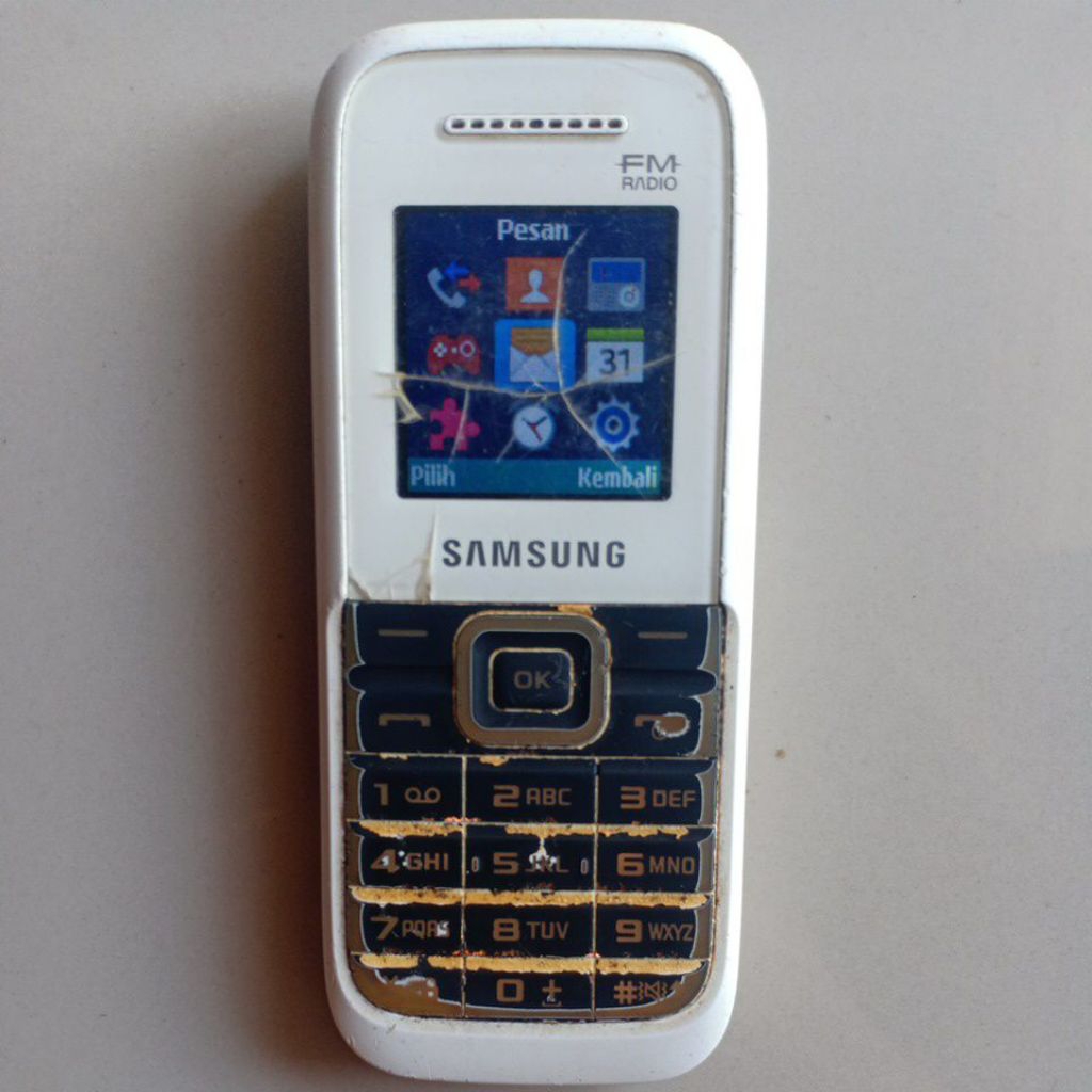 SAMSUNG keystone SM B109E