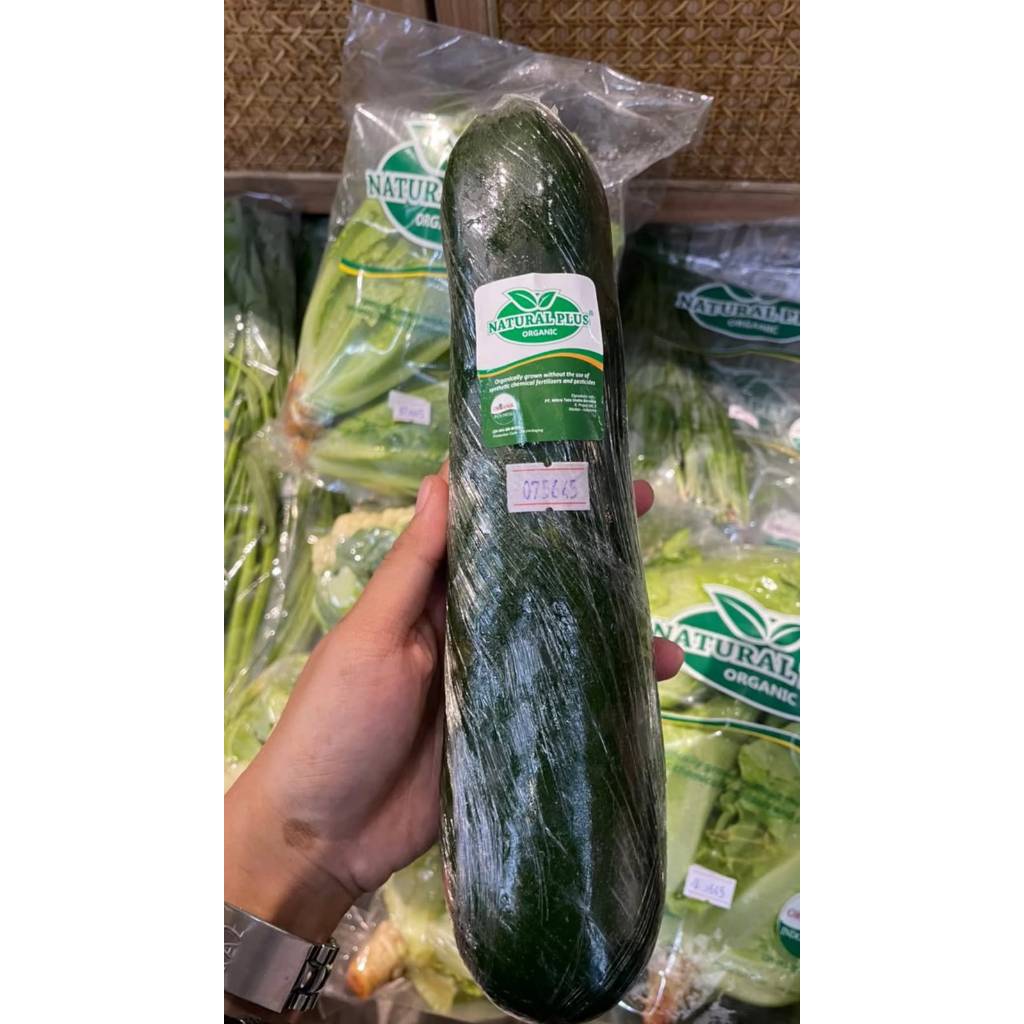 SAYUR ZUCCHINI ORGANIK 1 KG AN
