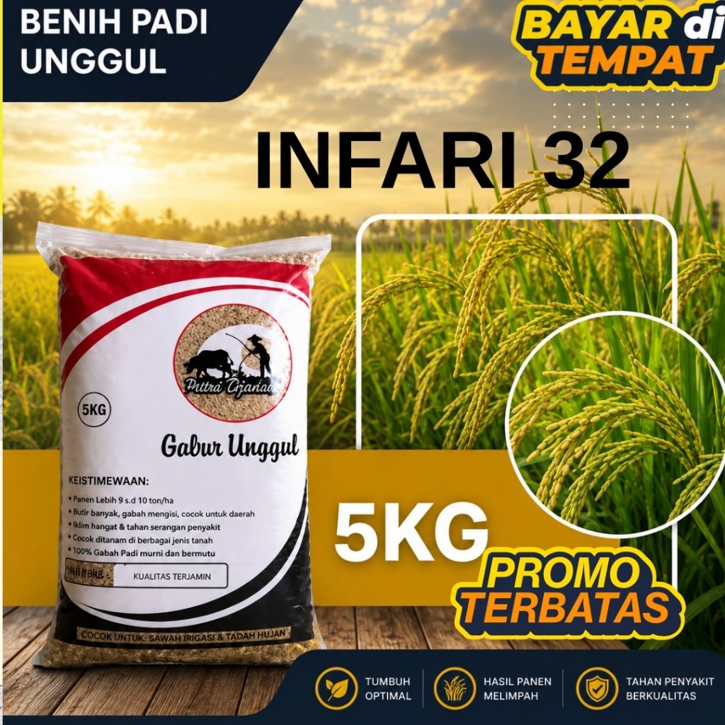 BENIH PADI INFARI 32 KEMASAN 5KG BERKUALITAS