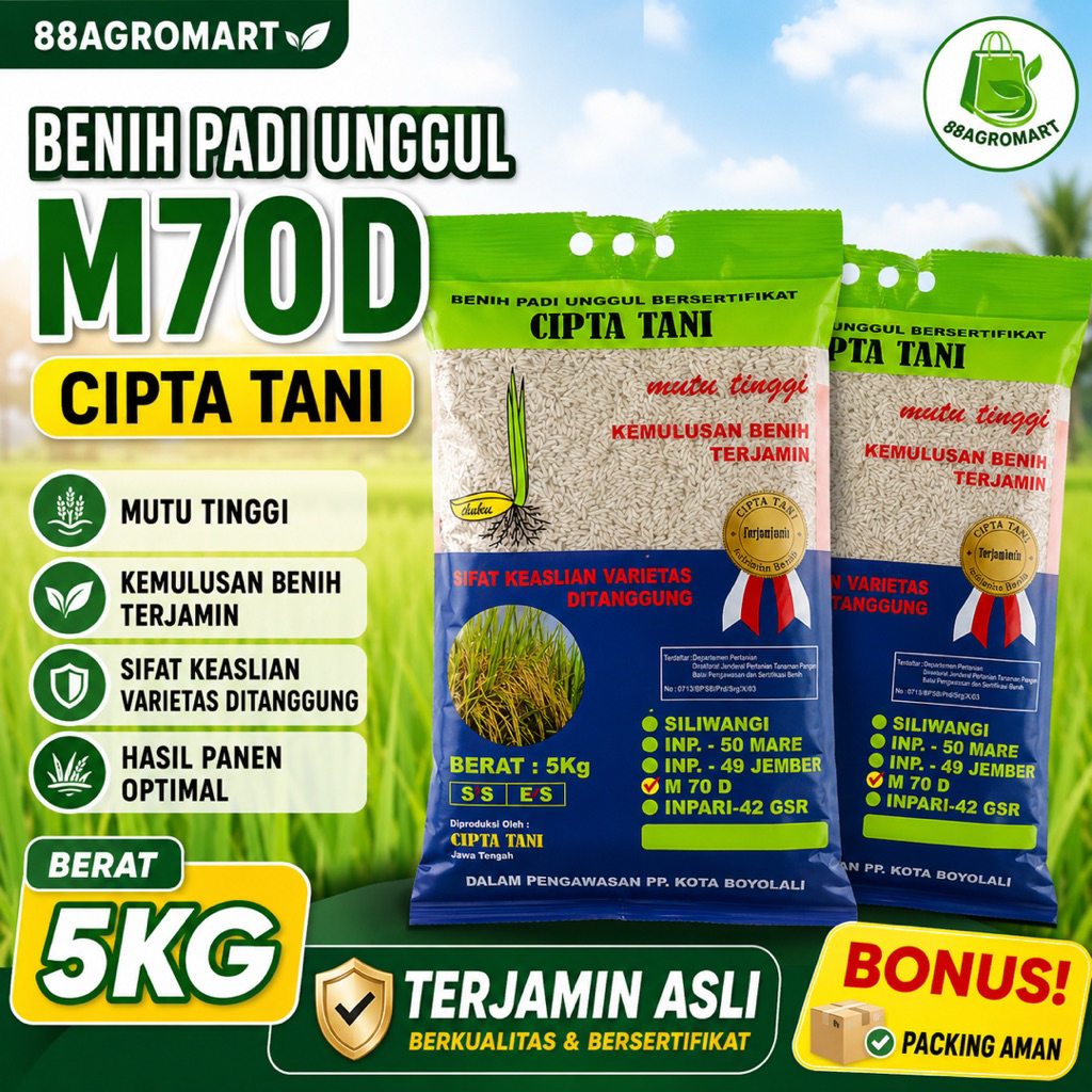 Cipta Tani Benih Padi M70D 5Kg Bersertifikat Original Varietas M70D Benih Padi Unggul