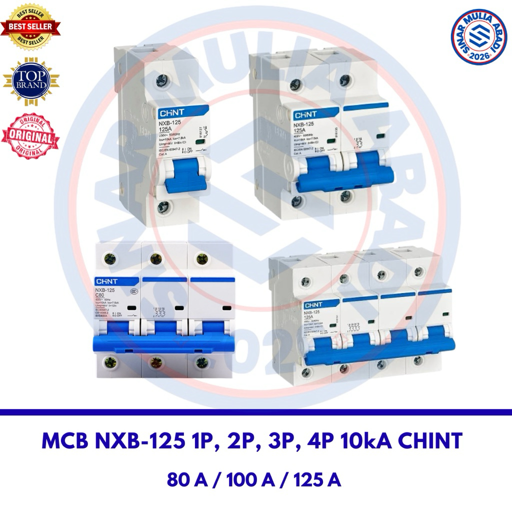 MCB / MCCB CHINT NXB-125 1P, 2P, 3P, 4P / 80A / 100A / 125A 10kA MCB CHINT