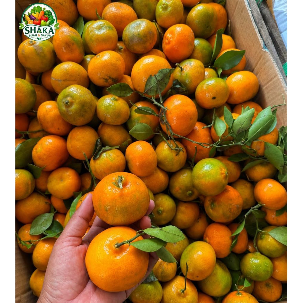 Buah Jeruk Santang 1 krat 6-7Kg -Shaka buah dan sayur
