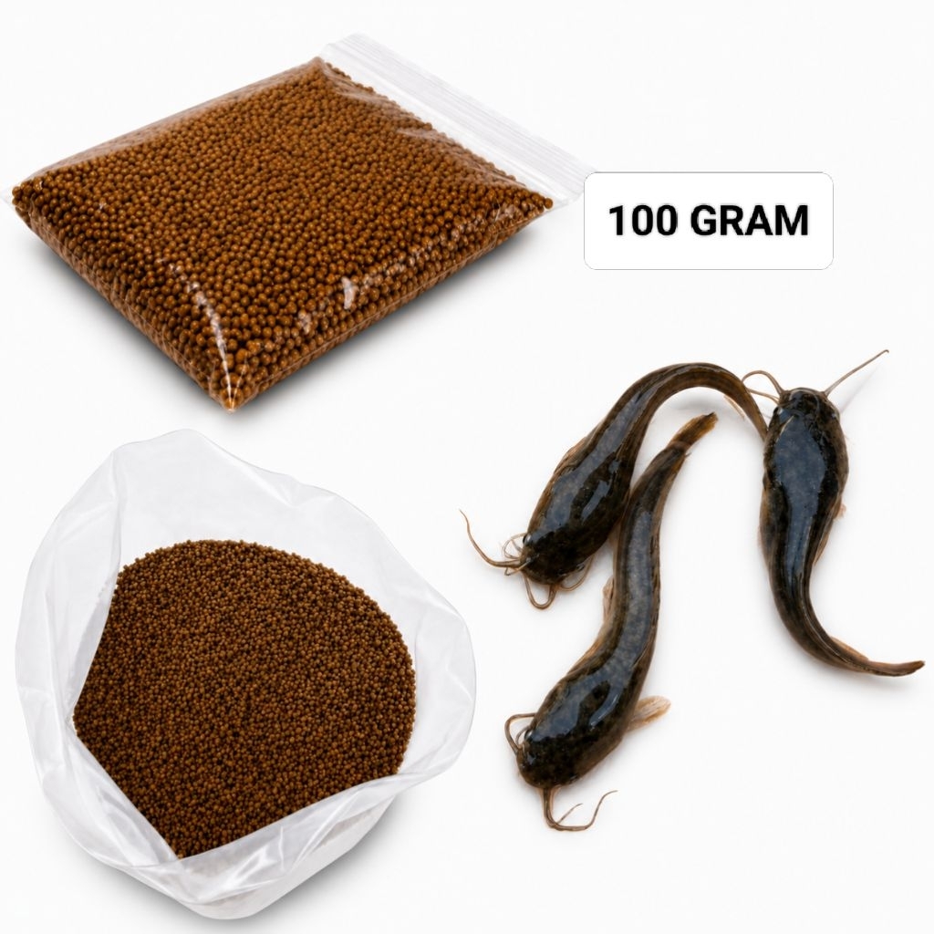 100 Gram Pelet Ikan Lele PF 800 0,8mm Pakan Pertumbuhan Lele