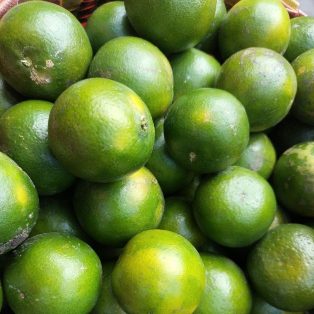 JERUK PERAS ASLI SEMBORO - 1KG