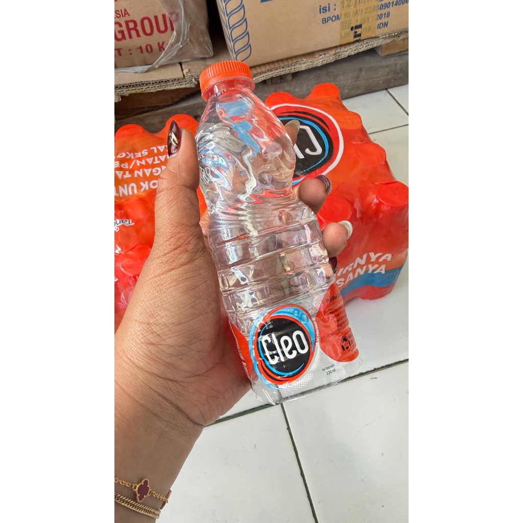 Minuman Botol Cleo 220 ml