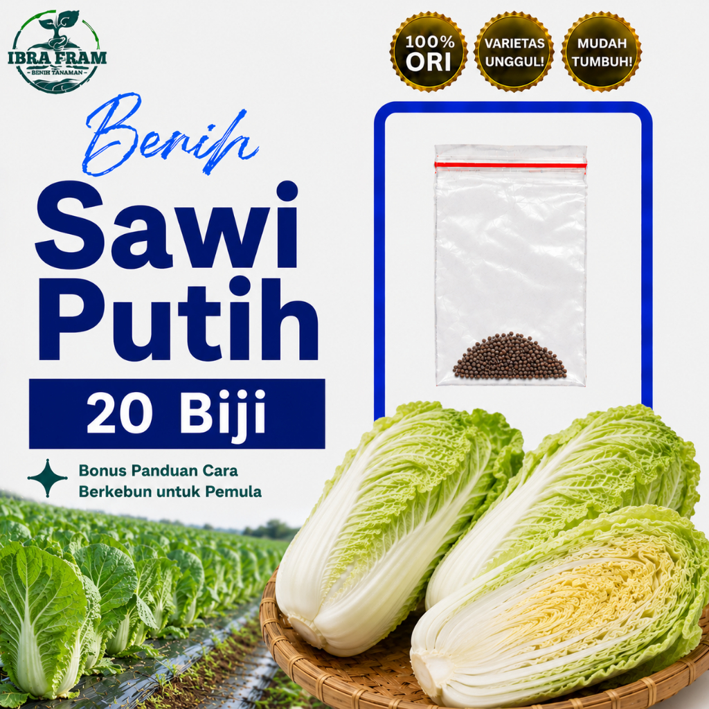 20 Benih Sawi Putih Autumn Sun F1 Bibit Sayuran Dataran Rendah Sayur Slobor Super Unggul Seribuan