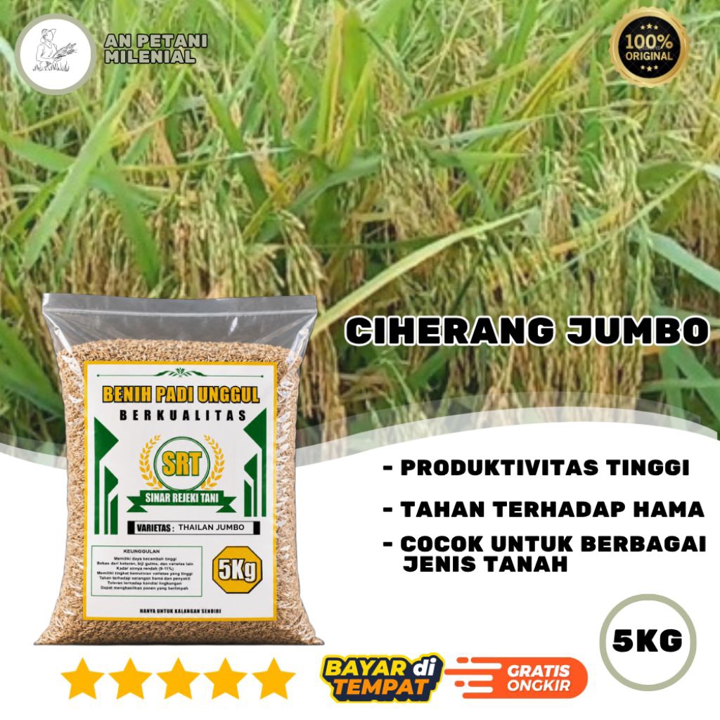 Benih Padi Ciherang Jumbo Kemasan 5 Kg | Bibit Padi Siap Tanam